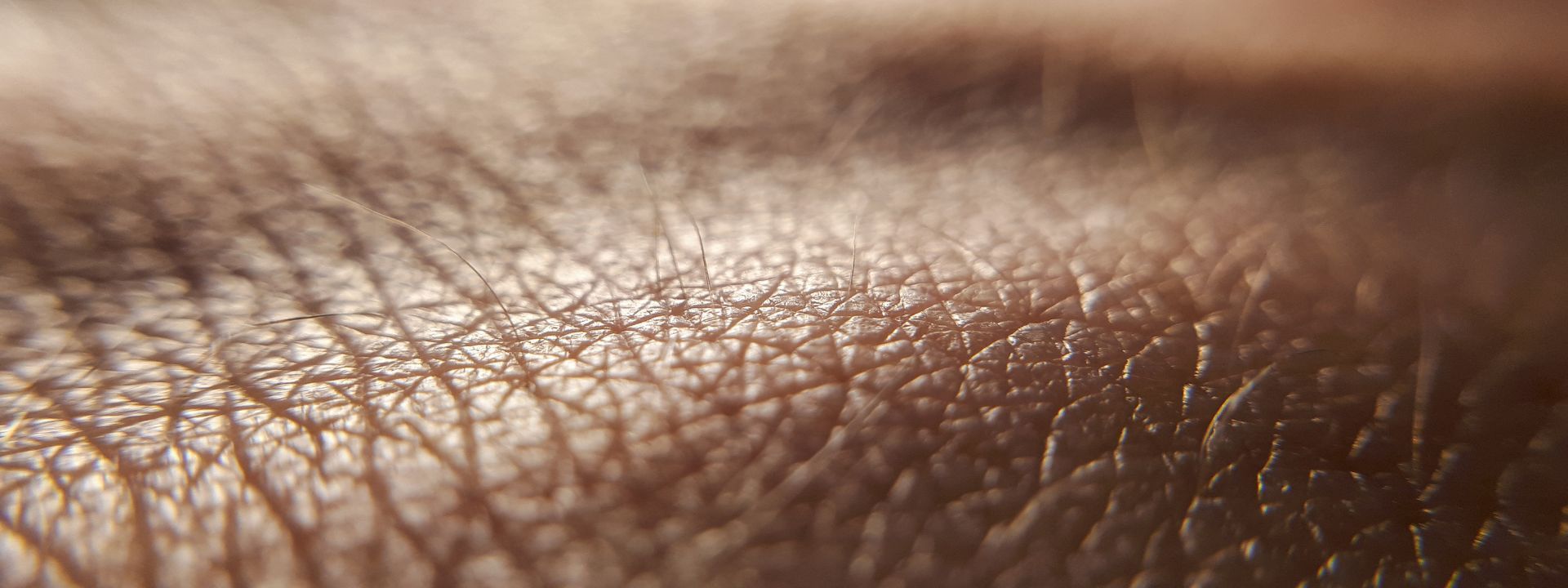 Neue Hautärztin bereichert Gesundheitspark BHS Linz