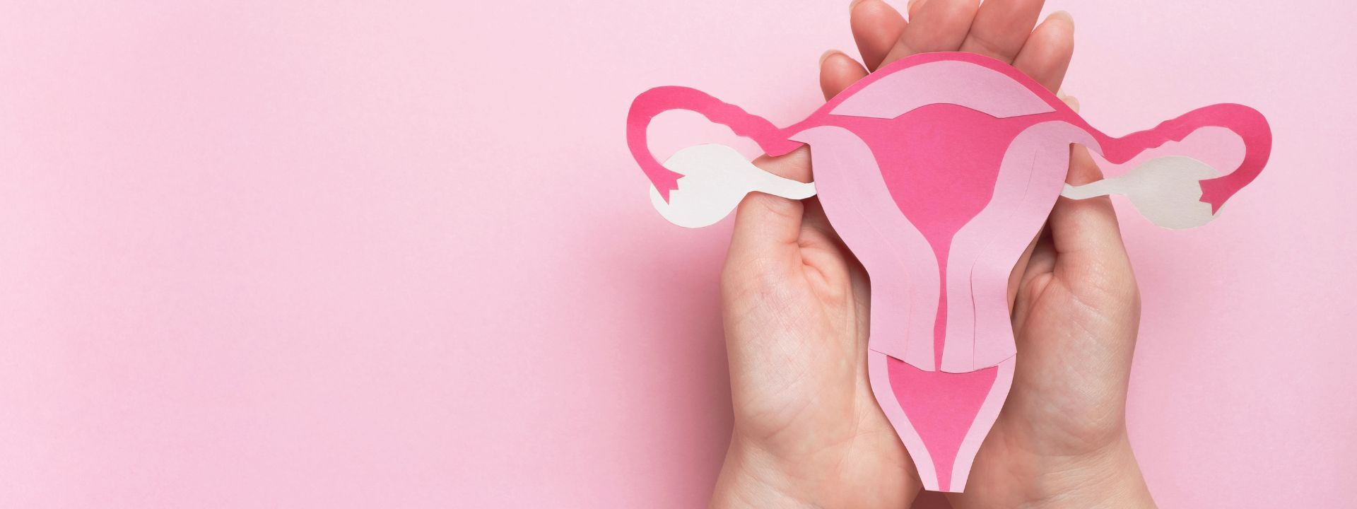 Noch mehr gynäkologische Fachkompetenz im Gesundheitspark