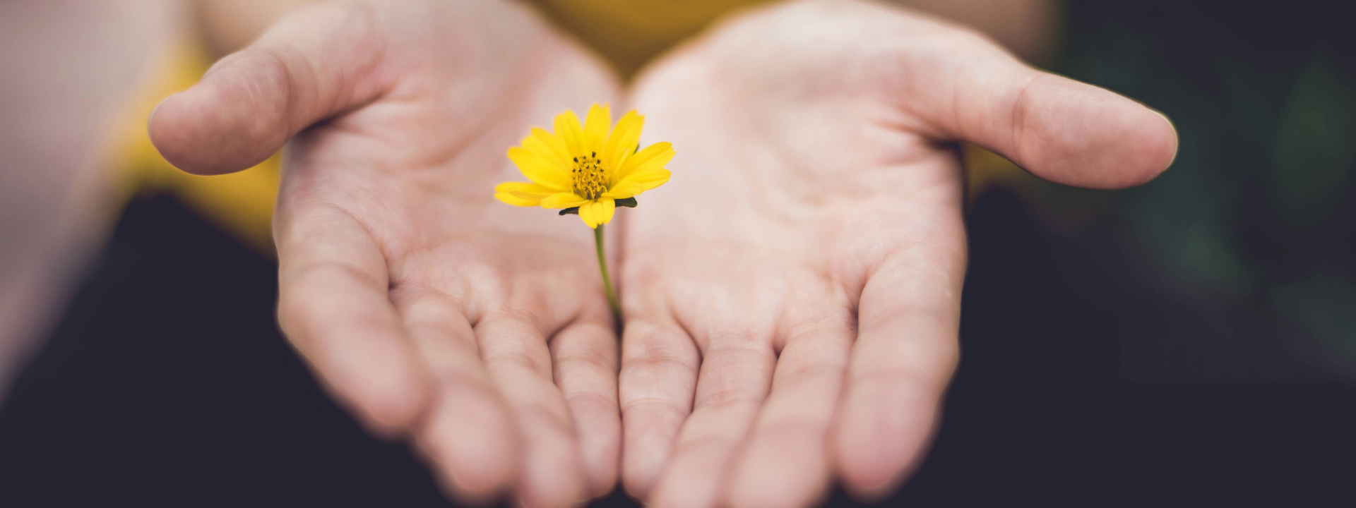 Nur den Krebs zu behandeln, reicht nicht aus  