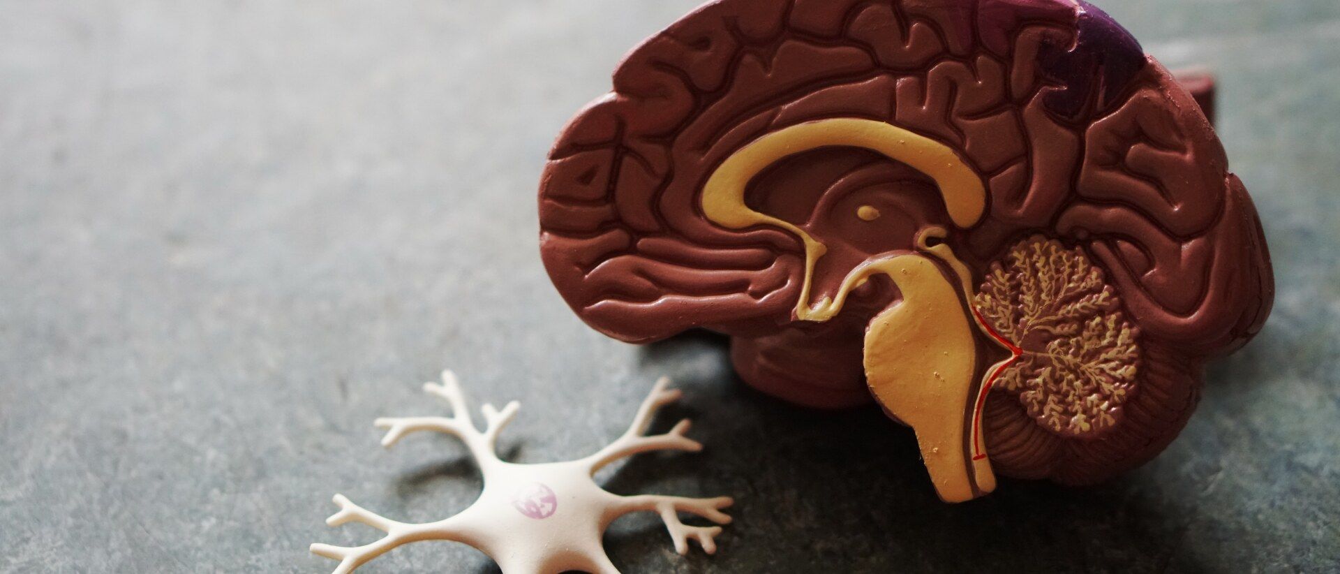 Kompetente Betreuung bei neurologischen Erkrankungen