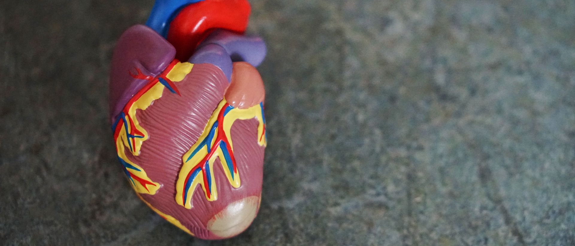 Neu im Gesundheitspark: Internist DDr. Jörg Kellermair