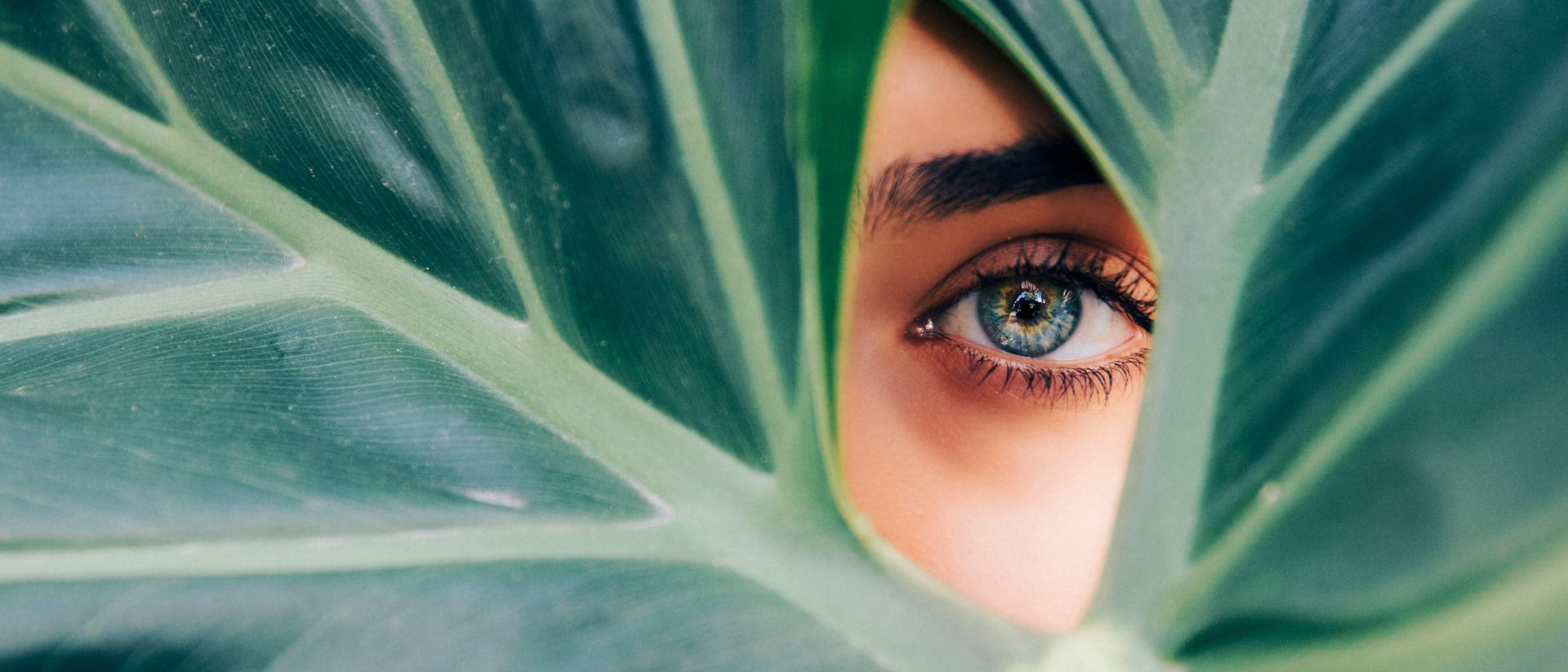 Workshop zu Farb- und Stilberatung und Anti-Aging