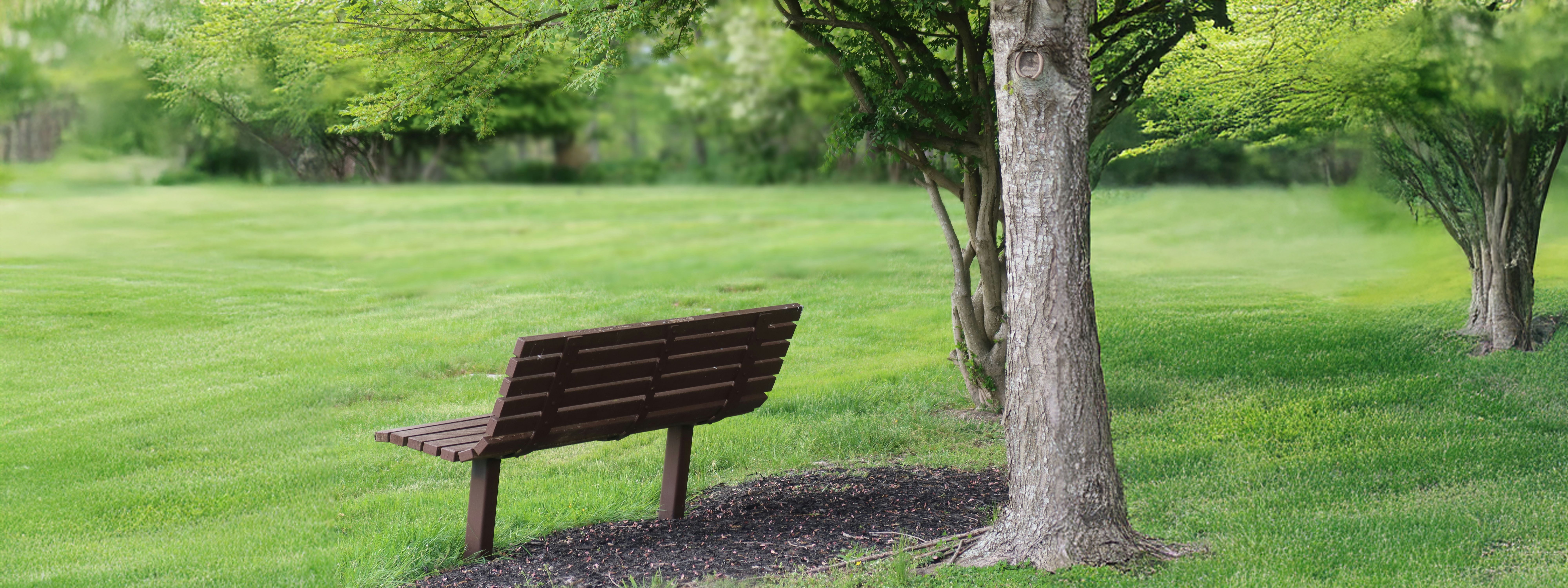 Fortbildungen für professionelle Begleitung