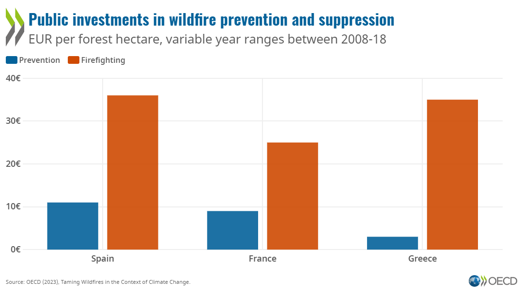 Taming wildfires in the context of climate change