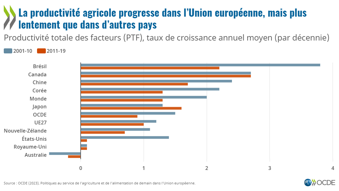 Productivité agricole au sein de l’UE : Une analyse comparative