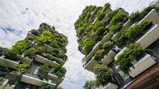Ensure public procurement is green and invest in sustainable buildings