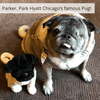 bulk custom plush of pets