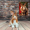 Personalized Bunny Stuffed Animal Plush Lookalike 2