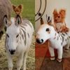 Personalized Pet Stuffed Animal Plush Lookalike