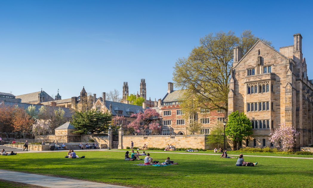 Descubra quais são as melhores faculdades dos Estados Unidos - Crimson ...