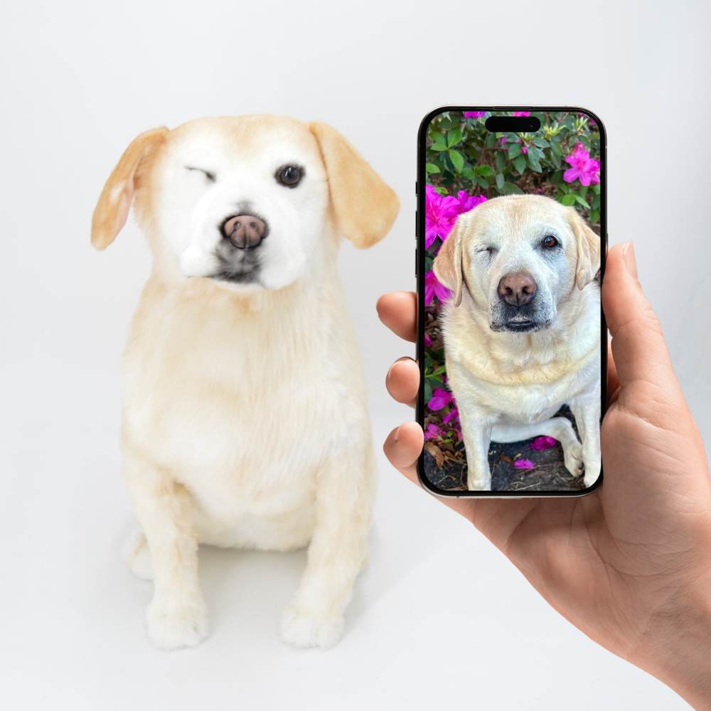 Petsies custom stuffed animals lookalike replica 