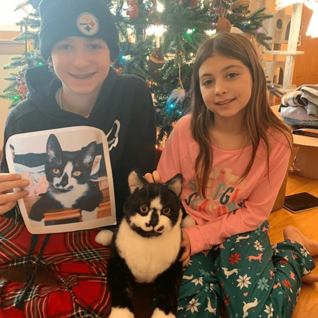 CAN I GET MY CAT STUFFED visual data 5