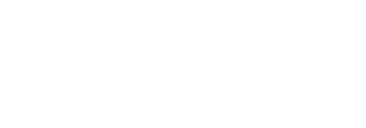 Stray Bombay logo