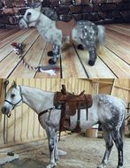 Horse Stuffed Animal Lookalike