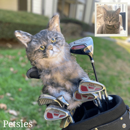 Adorable Kittens Golf Club Headcover main image 1