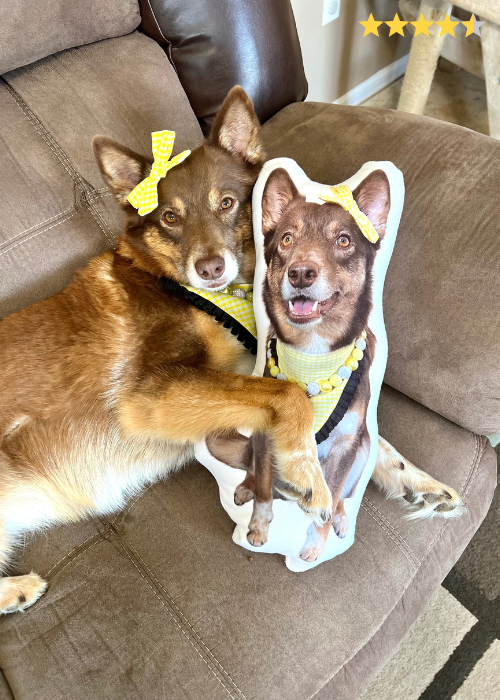 custom pet pillow cuddle clone alternative
