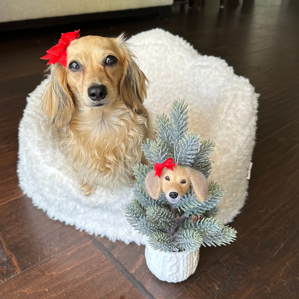 Picture of Custom Felt Pet Ornament | Petsies