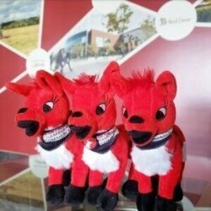 branded stuffed animals for business 7