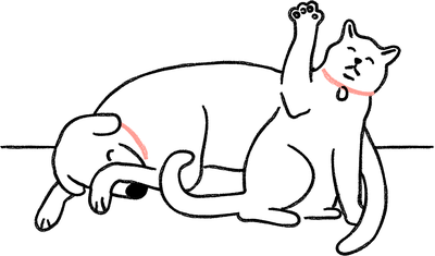 A cat waving whilst a dog hides its face
