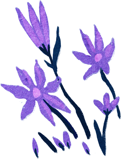hand-drawn flowers graphic