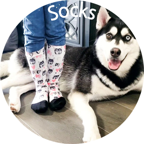 pet socks