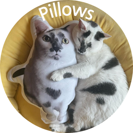 custom pet pillow