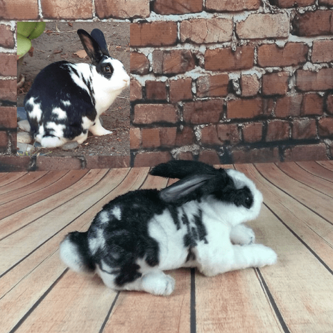 Stuffed Bunny Rabbits Realistic Lookalike