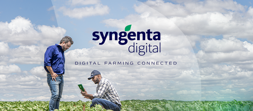 Breaking Down Silos: Syngenta Digital's Path to Centralized Research