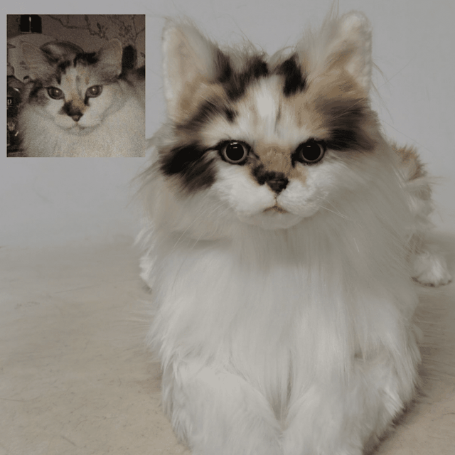 Make a Custom Stuffed Animal of Your Cat | Petsies