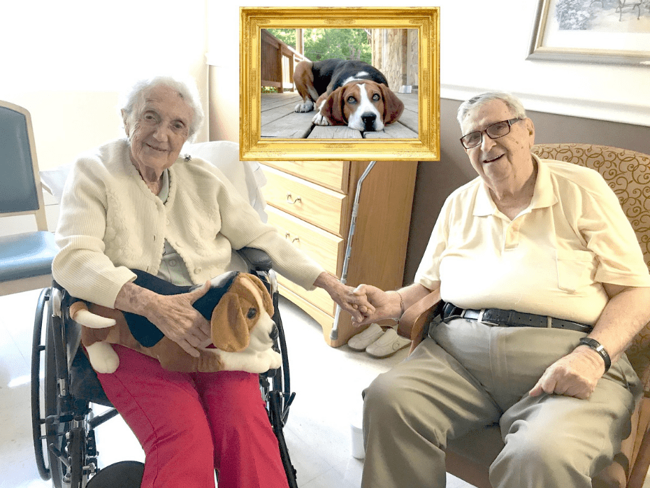 Petsies and the Elderly