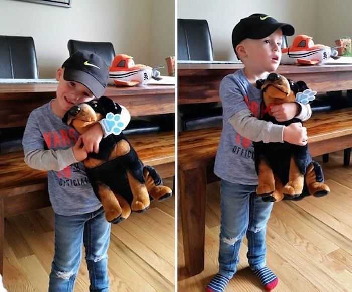 Stuffed Animals Help Kids Deal with the death of a pet